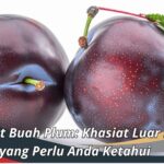 Manfaat Buah Plum: Khasiat Luar Biasa yang Perlu Anda Ketahui