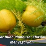 Manfaat Buah Rambusa: Khasiat yang Menyegarkan