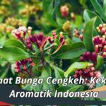 Manfaat Bunga Cengkeh: Kekayaan Aromatik Indonesia