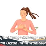 Manfaat Bunga Kenanga untuk Kesehatan Organ Intim Wanita (Miss V)