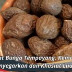 Manfaat Bunga Tempayang: Keindahan yang Menyegarkan dan Khasiat Luar Biasa