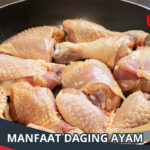 Manfaat Daging Ayam