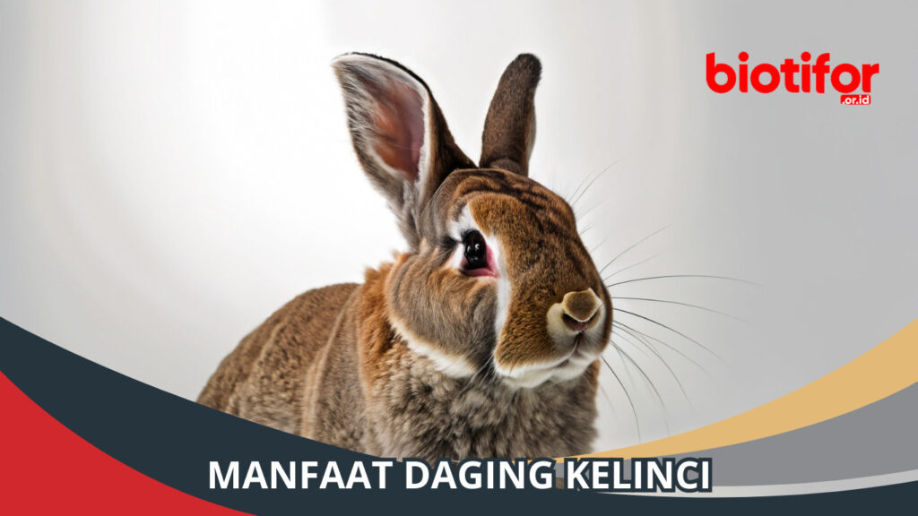 Manfaat Wormectin untuk Kelinci