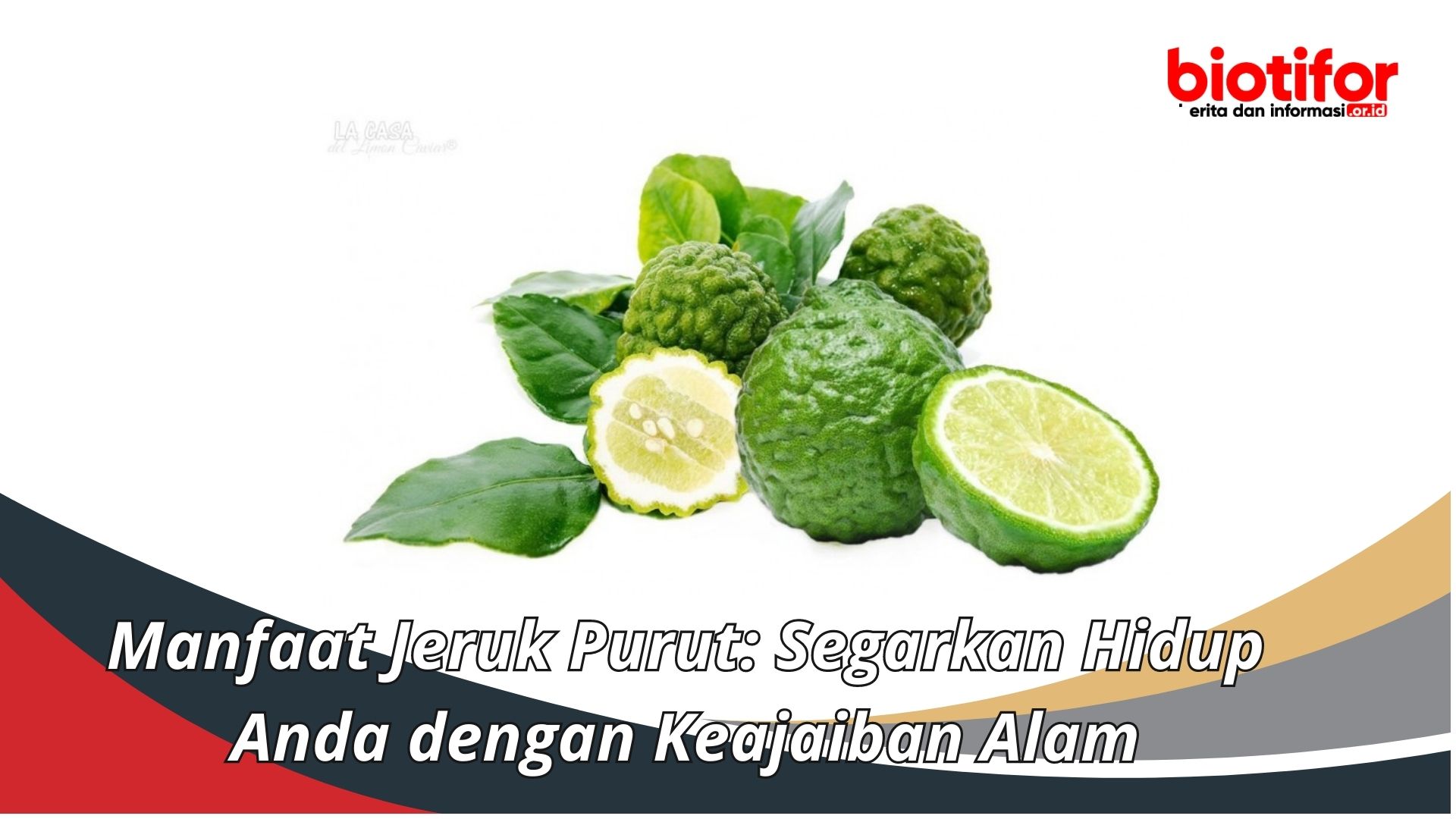 Manfaat Jeruk Purut: Segarkan Hidup Anda dengan Keajaiban Alam