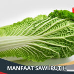 Manfaat Sawi Putih