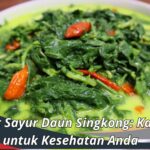 Manfaat Sayur Daun Singkong: Kaya Gizi untuk Kesehatan Anda