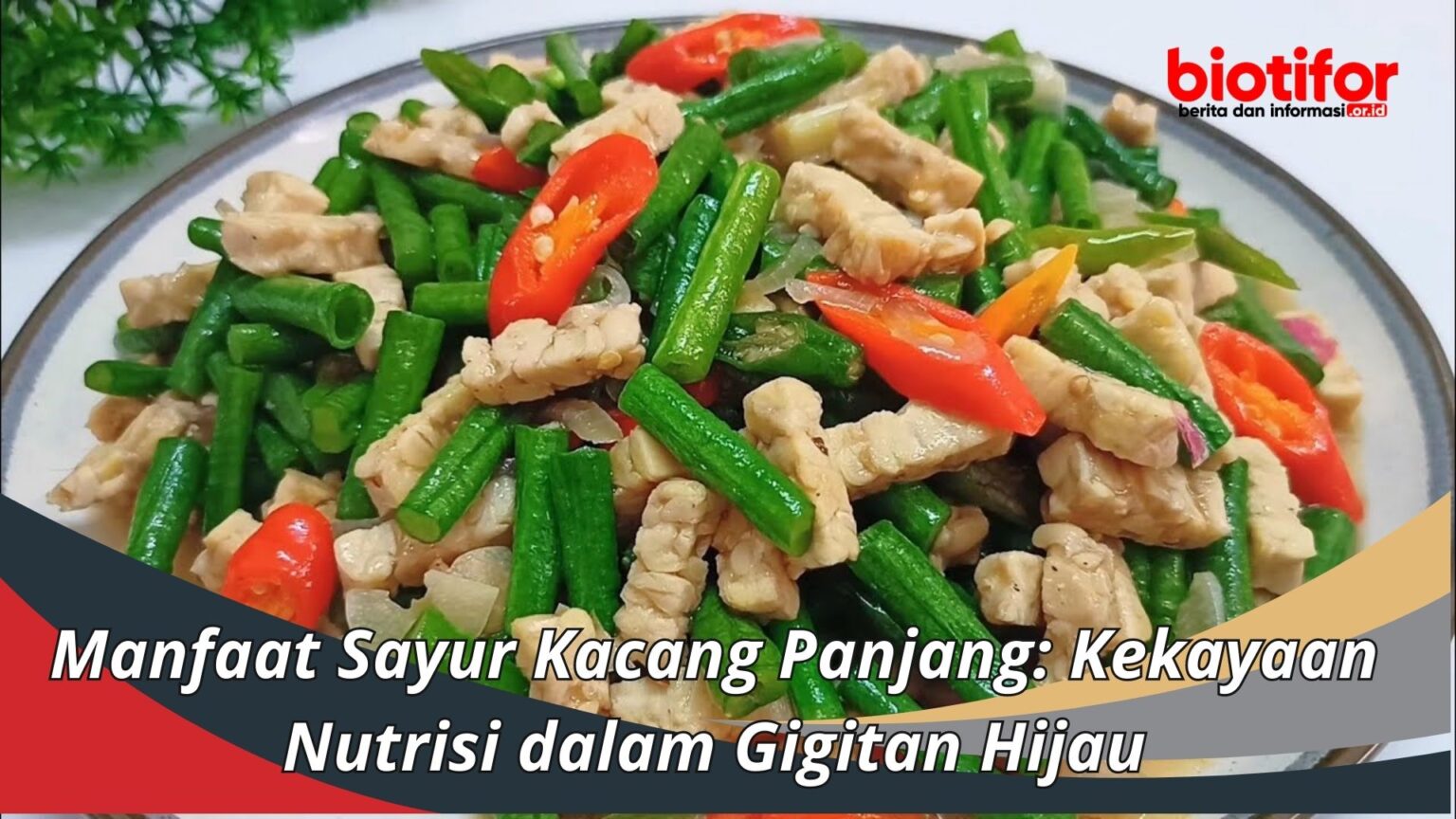 Kacang Panjang: Si Hijau yang Kaya Manfaat dan Mudah Diolah