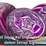 Manfaat Sayur Kol Ungu: Kekayaan Gizi dalam Setiap Gigitan