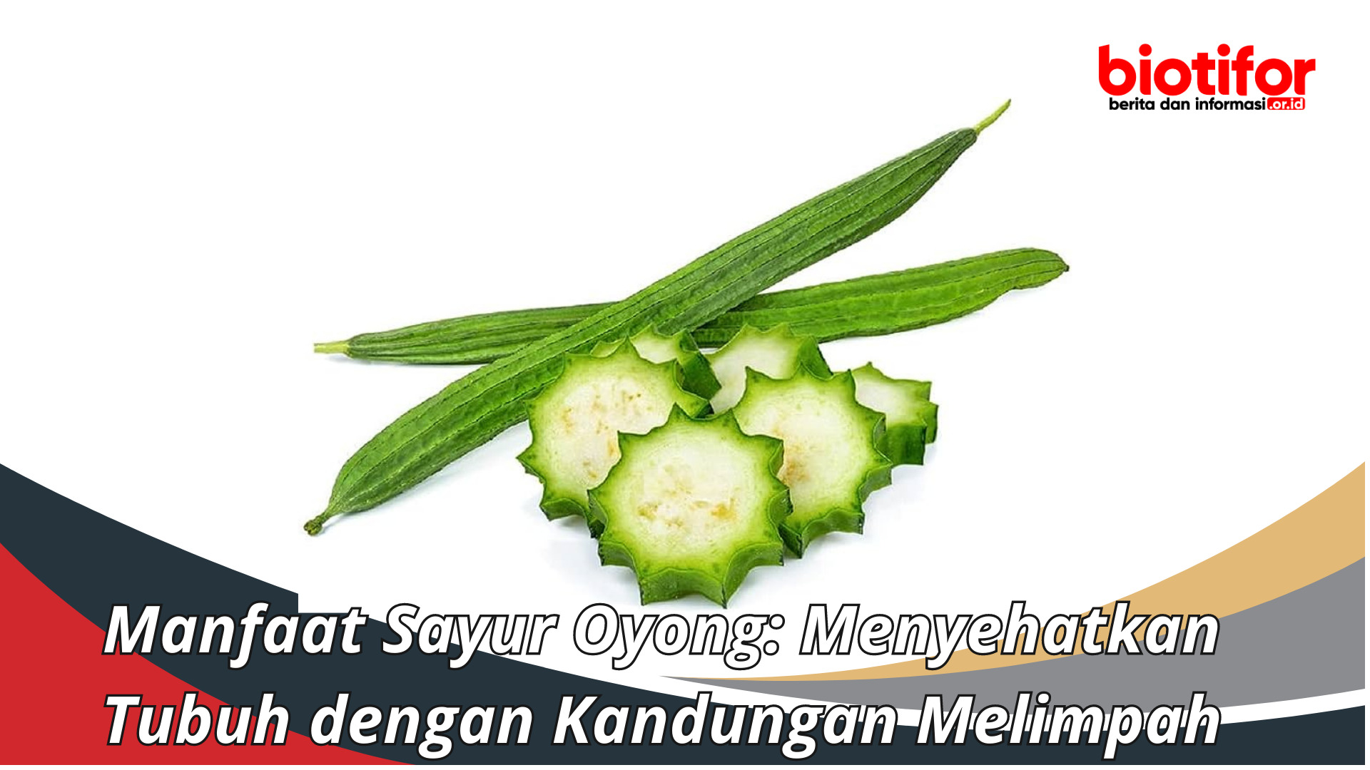 Manfaat Sayur Oyong: Menyehatkan Tubuh dengan Kandungan Melimpah