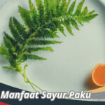 Manfaat Sayur Paku