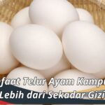 Manfaat Telur Ayam Kampung: Lebih dari Sekadar Gizi