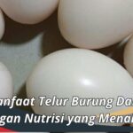 Manfaat Telur Burung Dara: Kandungan Nutrisi yang Menakjubkan