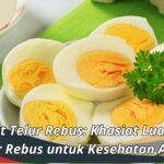 Manfaat Telur Rebus: Khasiat Luar Biasa Telur Rebus untuk Kesehatan Anda