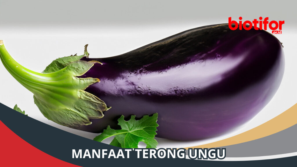 Manfaat Terong Ungu: Khasiat dari Sayuran Berwarna Ungu - Biotifor