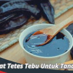 Manfaat Tetes Tebu Untuk Tanaman