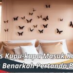 Mitos Kupu-kupu Masuk Kamar Tidur: Benarkah Pertanda Buruk?