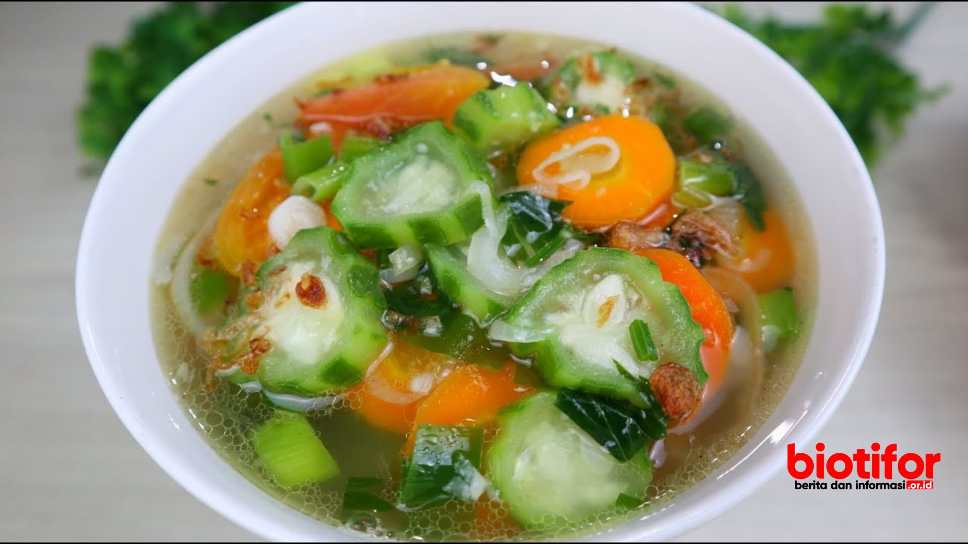 Sayur Oyong