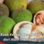 Manfaat Buah Kecapi: Kesehatan Optimal dari Alam Indonesia