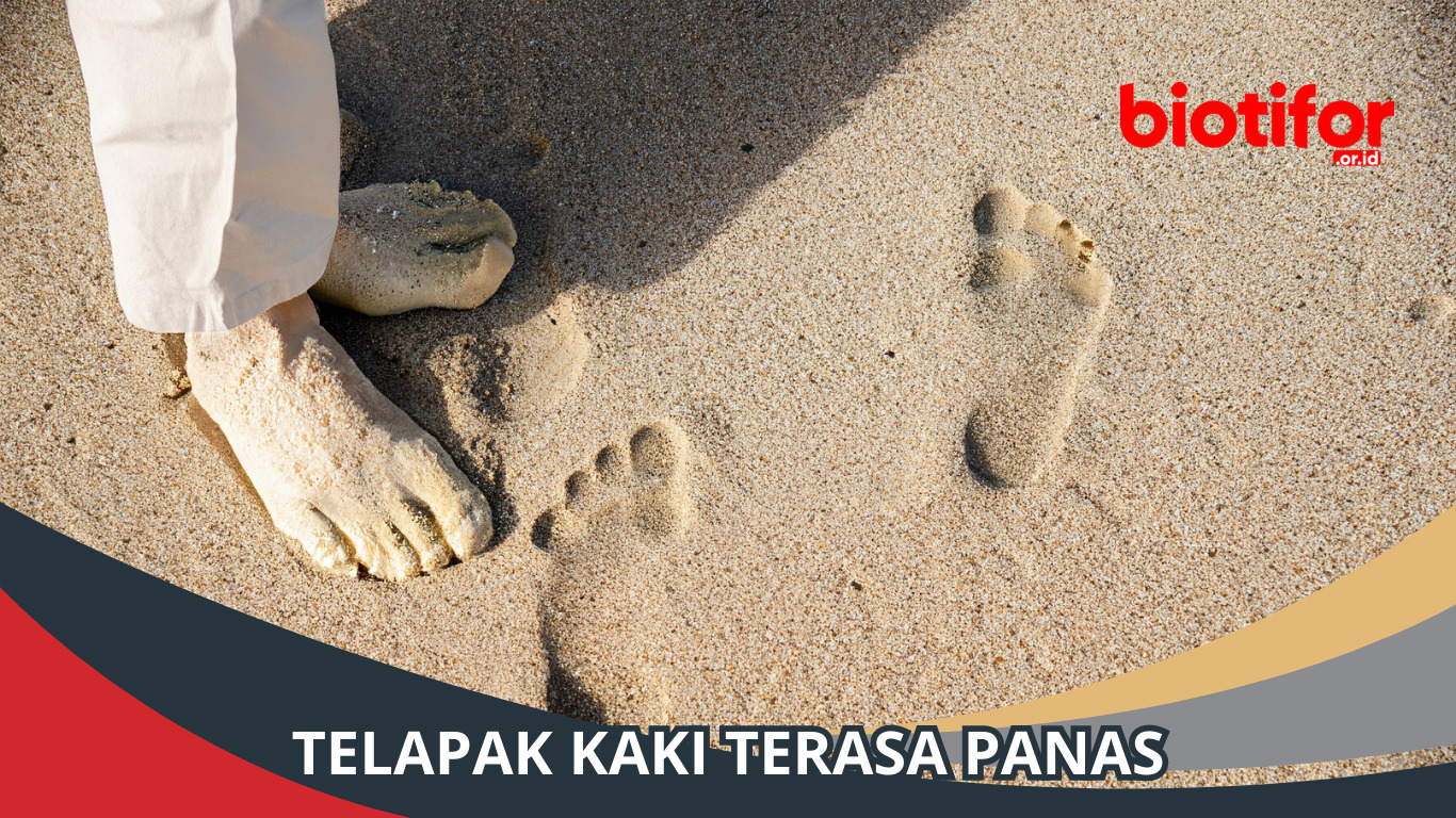 Telapak Kaki Terasa Panas Mengatasi Tak Nyaman Di Kaki Biotifor