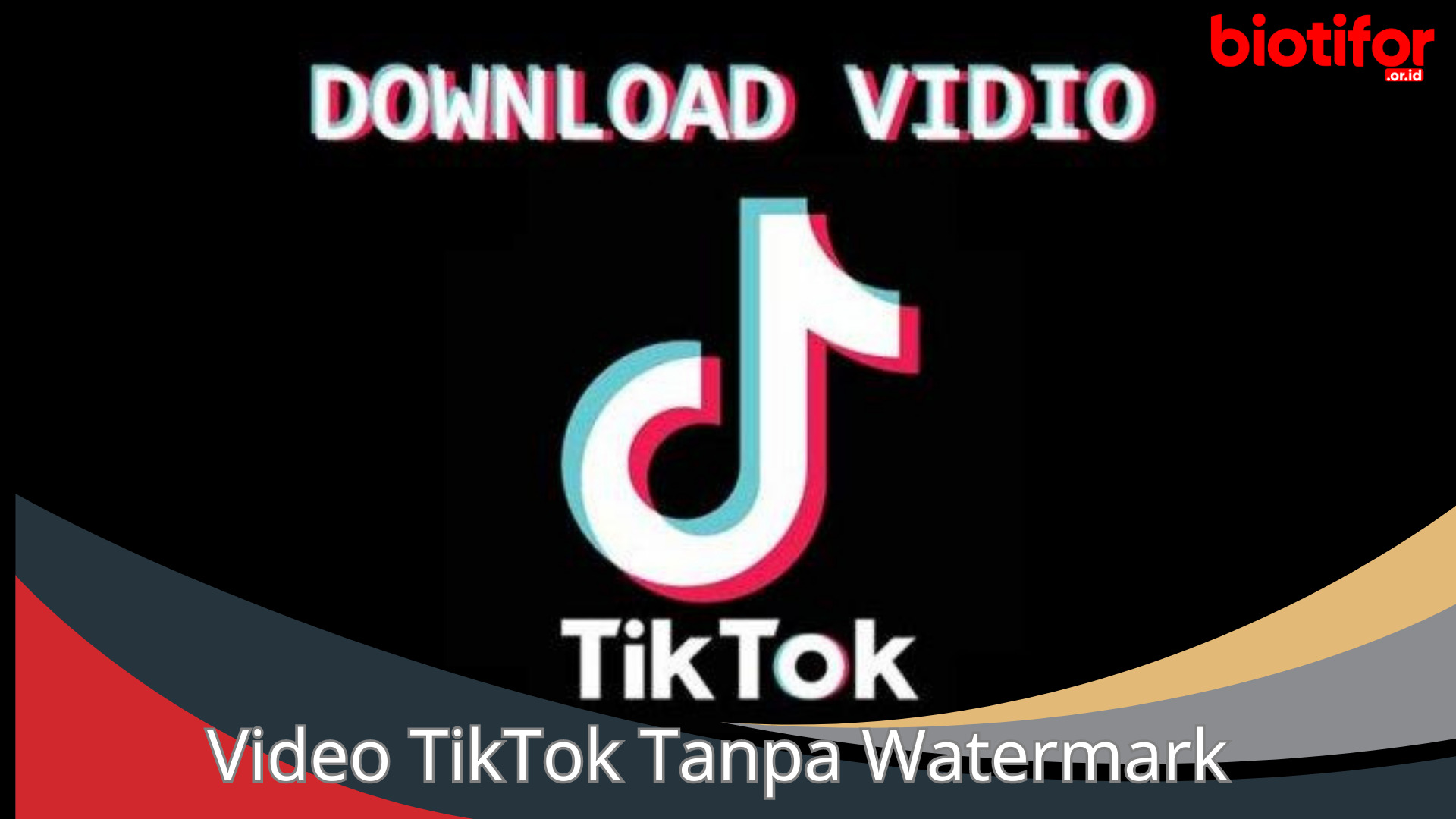 Download Video TikTok Tanpa Watermark: Panduan Lengkap