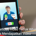Download Video TikTok WhatsApp