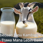 Perbedaan Susu Kambing Saanen dan Etawa