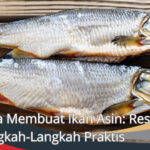 cara membuat ikan asin