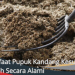 Manfaat Pupuk Kandang