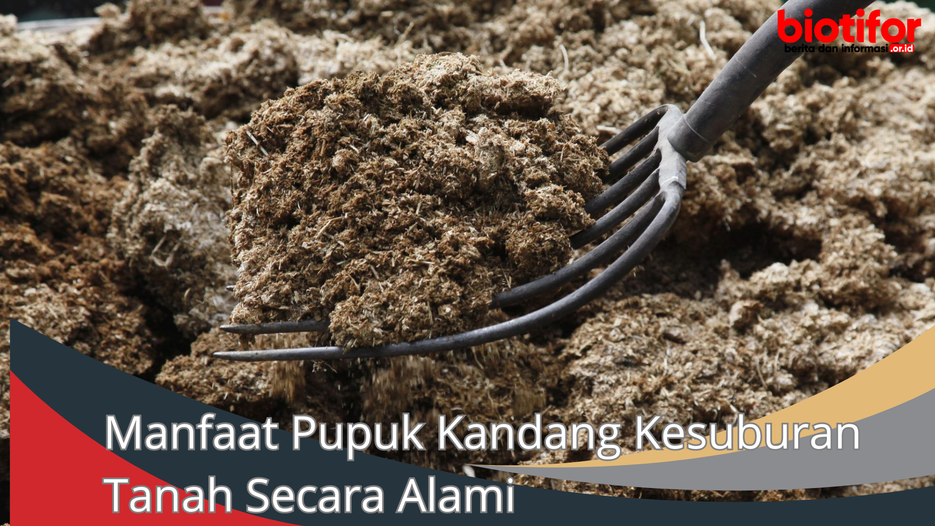 Manfaat Pupuk Kandang Kesuburan Tanah Secara Alami