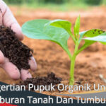 Pengertian Pupuk Organik