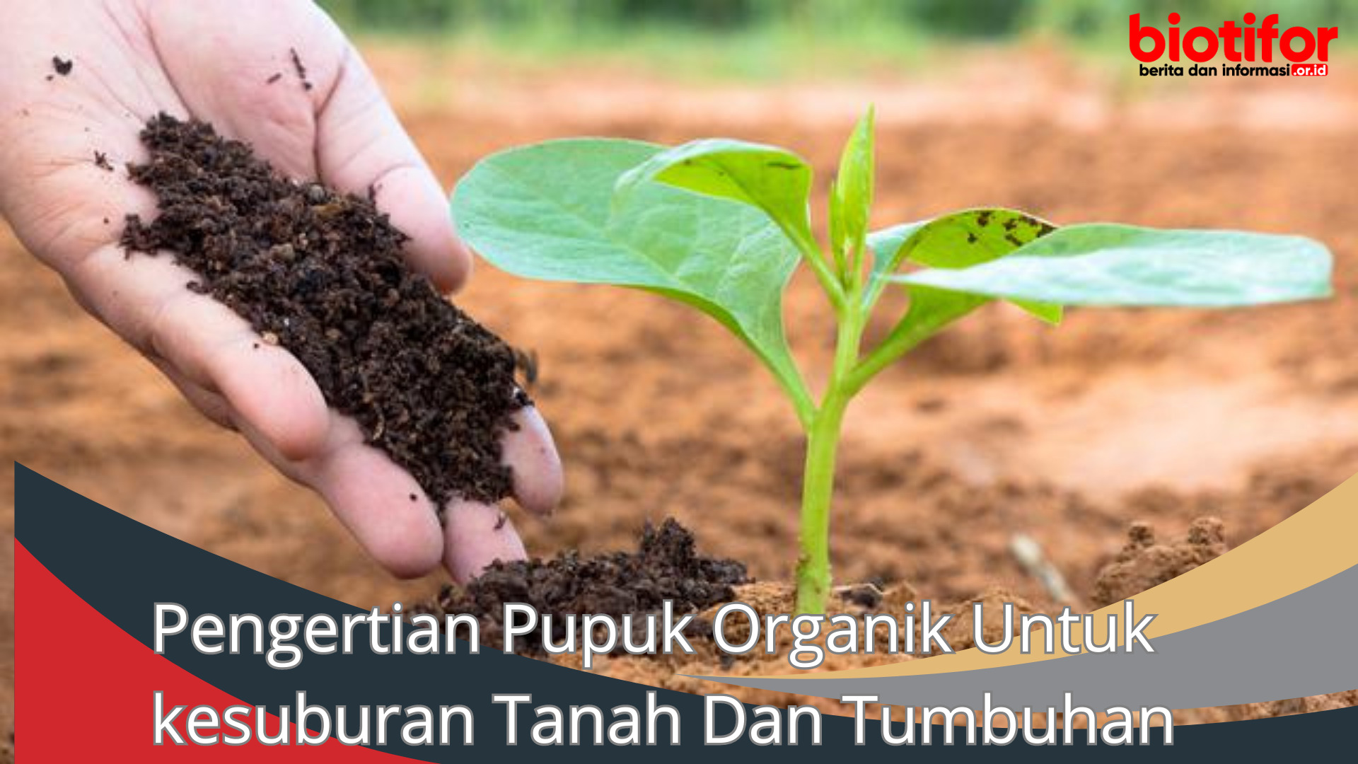 Pengertian Pupuk Organik Untuk kesuburan Tanah Dan Tumbuhan