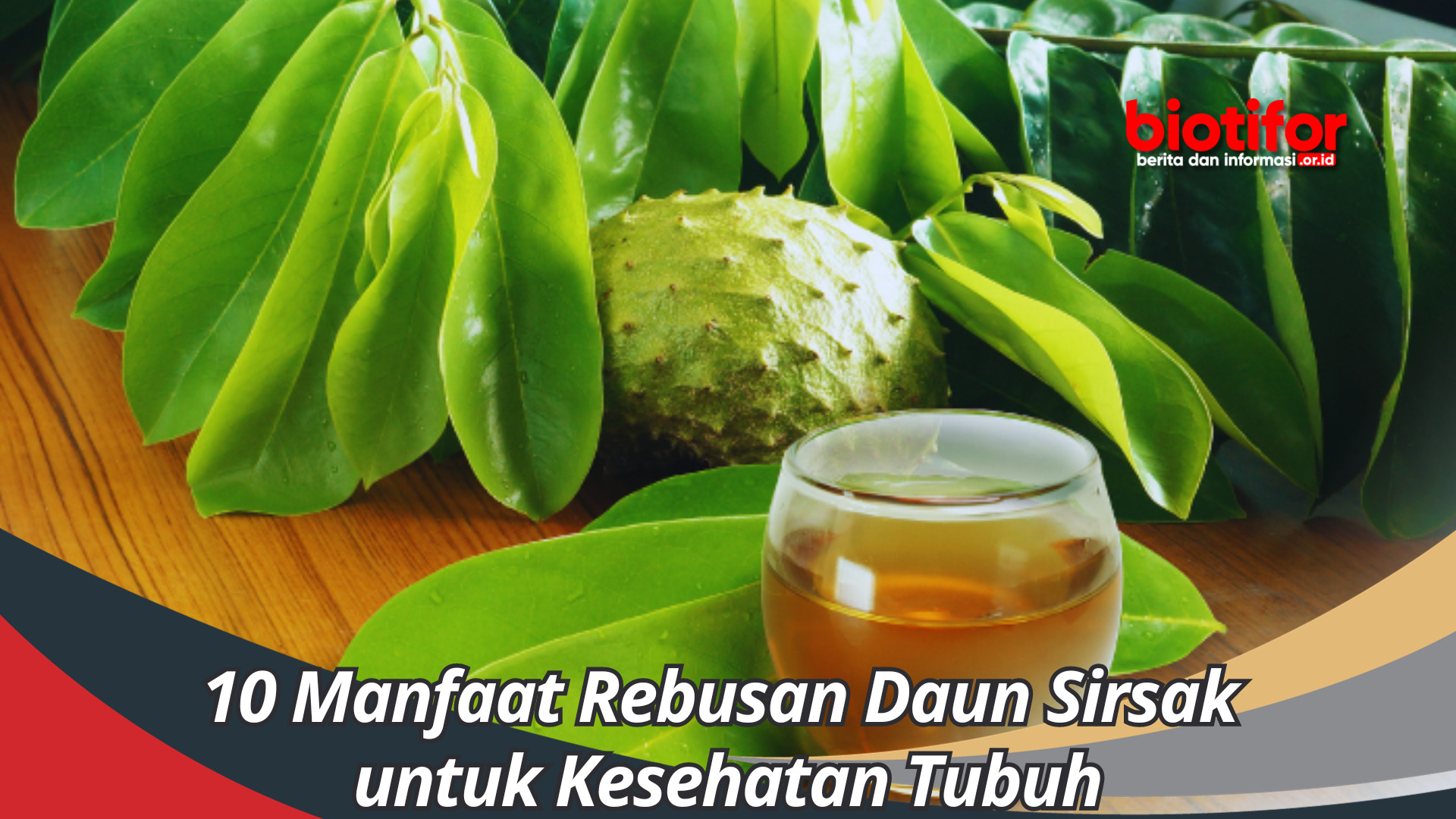 10 Manfaat Rebusan Daun Sirsak untuk Kesehatan Tubuh
