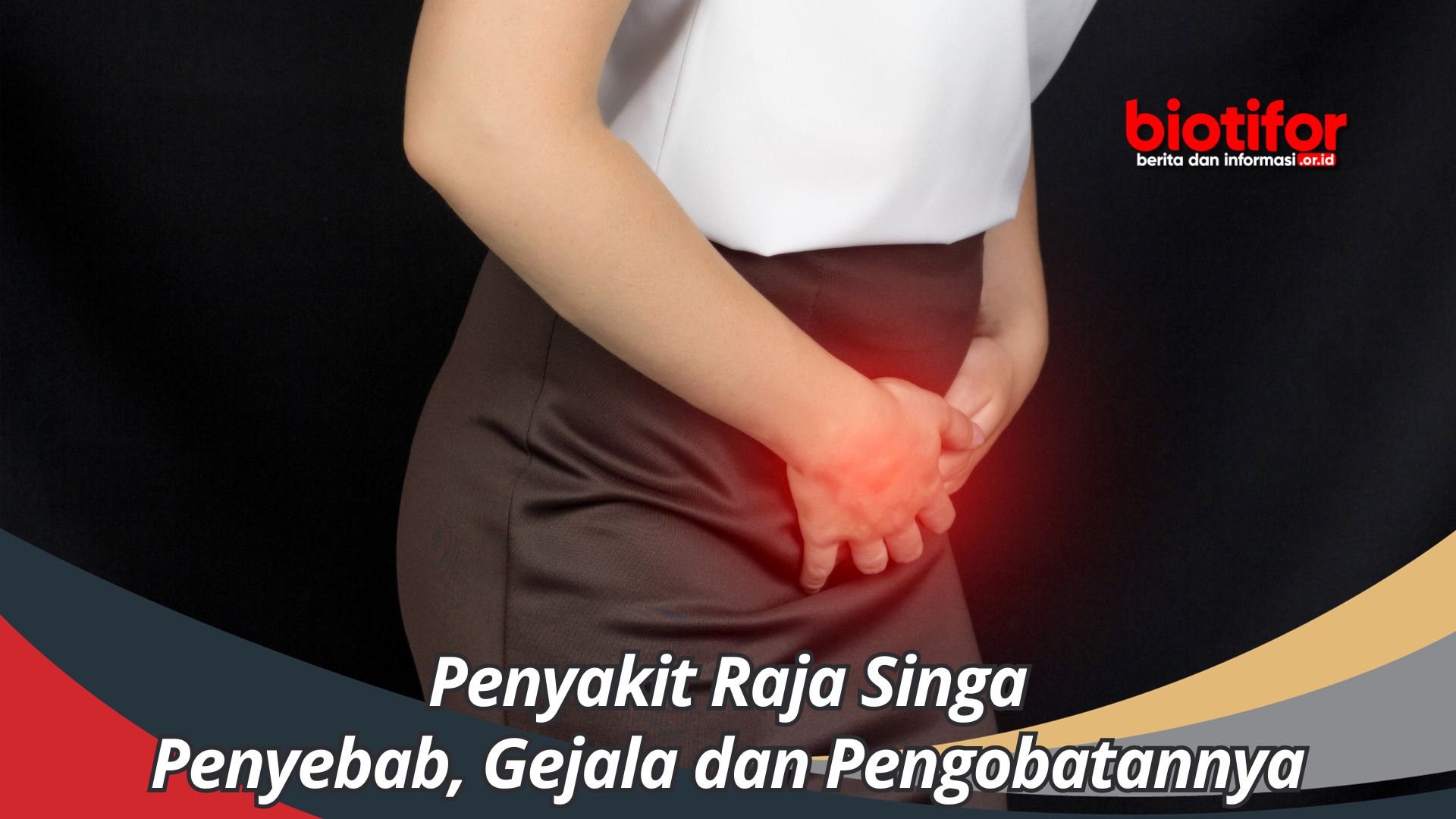 Penyakit Raja Singa