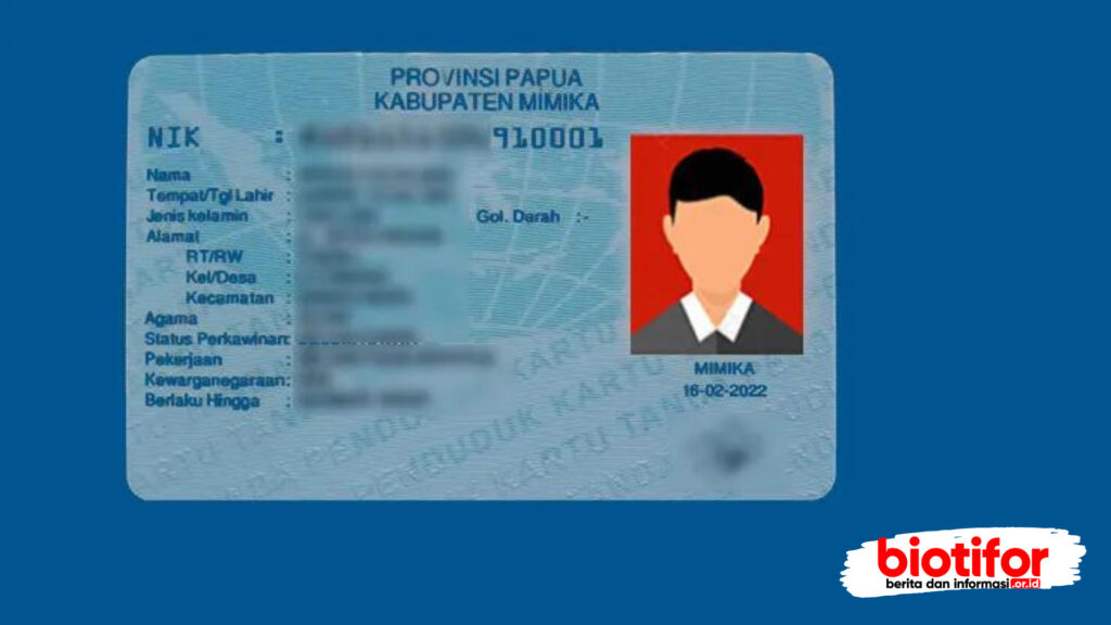 Jual KTP Online: Ancaman Nyata di Era Digital dan Upaya Pencegahannya