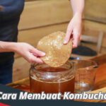 Cara Membuat Kombucha