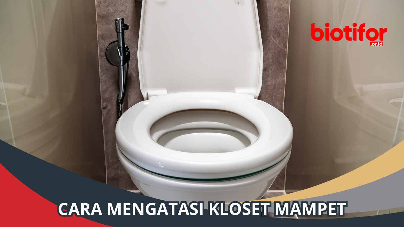 Cara Mengatasi Kloset Mampet: Tips dan Trik Ampuh