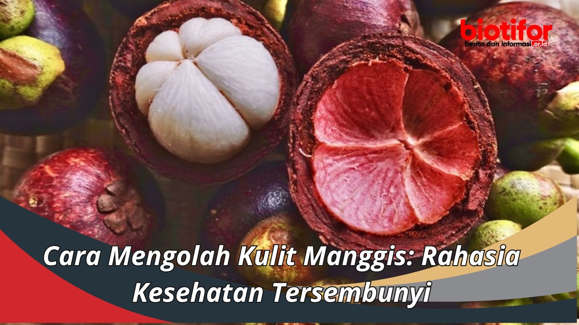 Cara Mengolah Kulit Manggis: Rahasia Kesehatan Tersembunyi