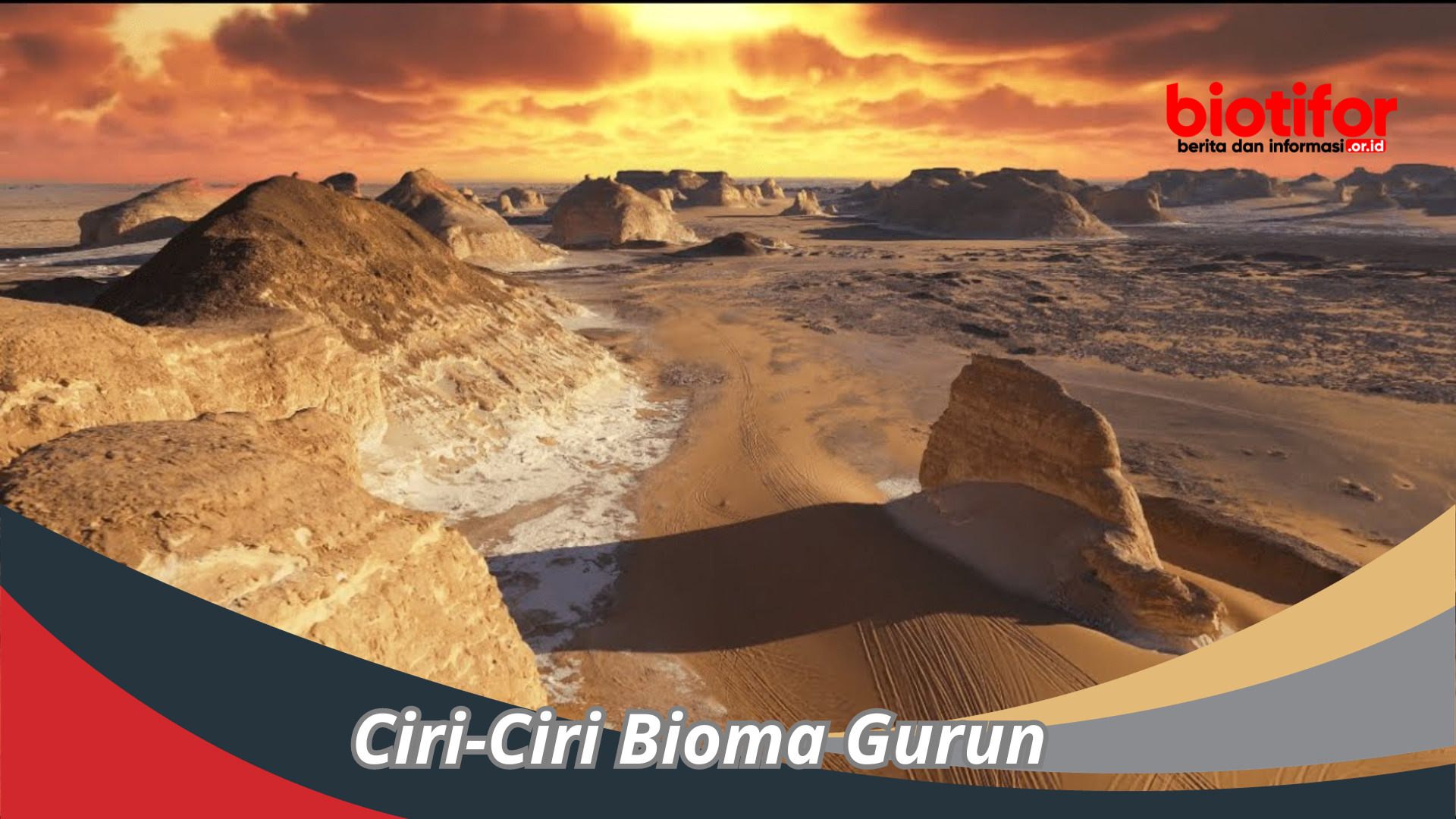 Ciri-Ciri Bioma Gurun