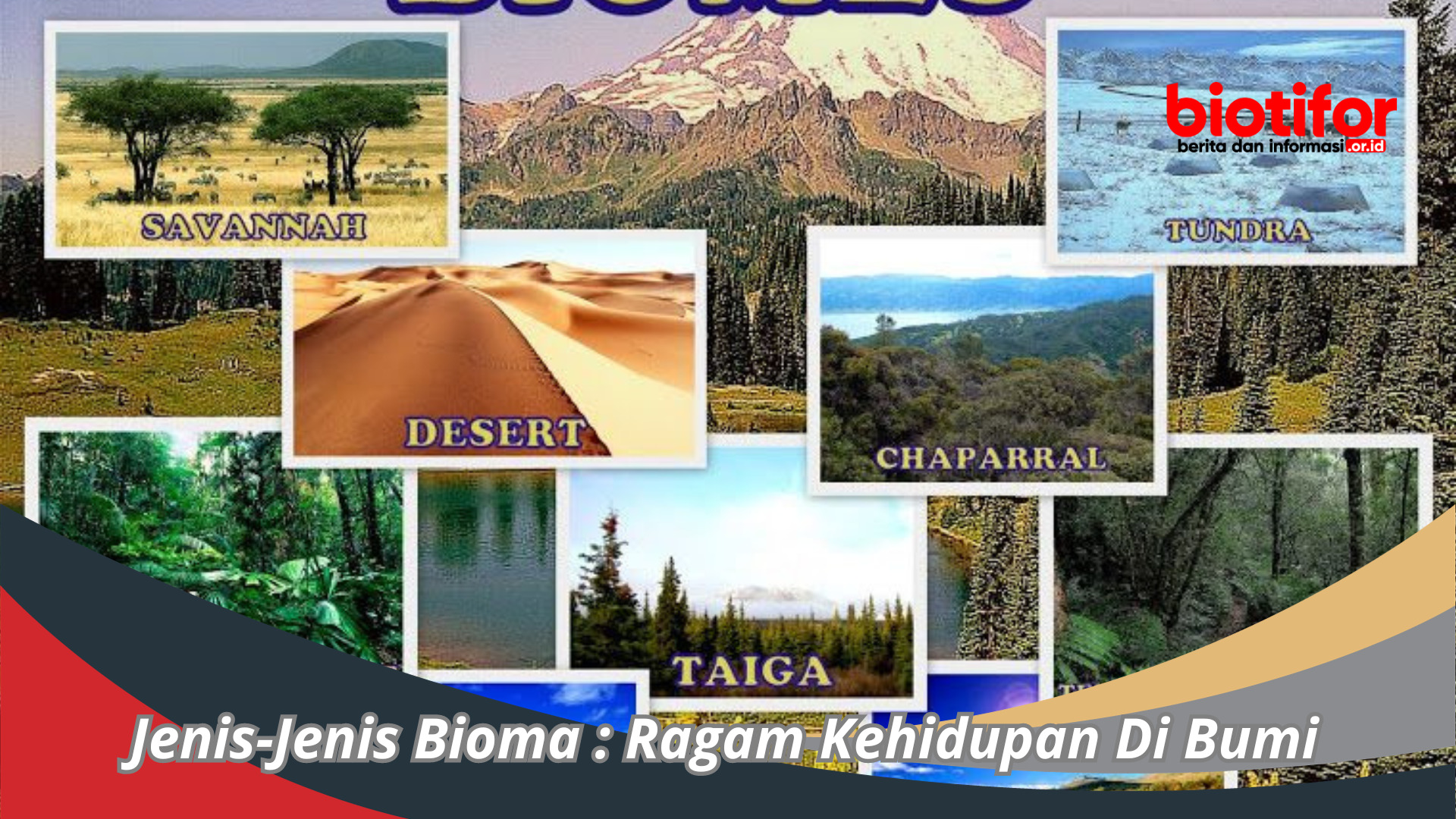 Jenis Jenis Bioma Ragam Kehidupan Di Bumi