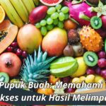 Jenis Pupuk Buah: Memahami Kunci Sukses untuk Hasil Melimpah