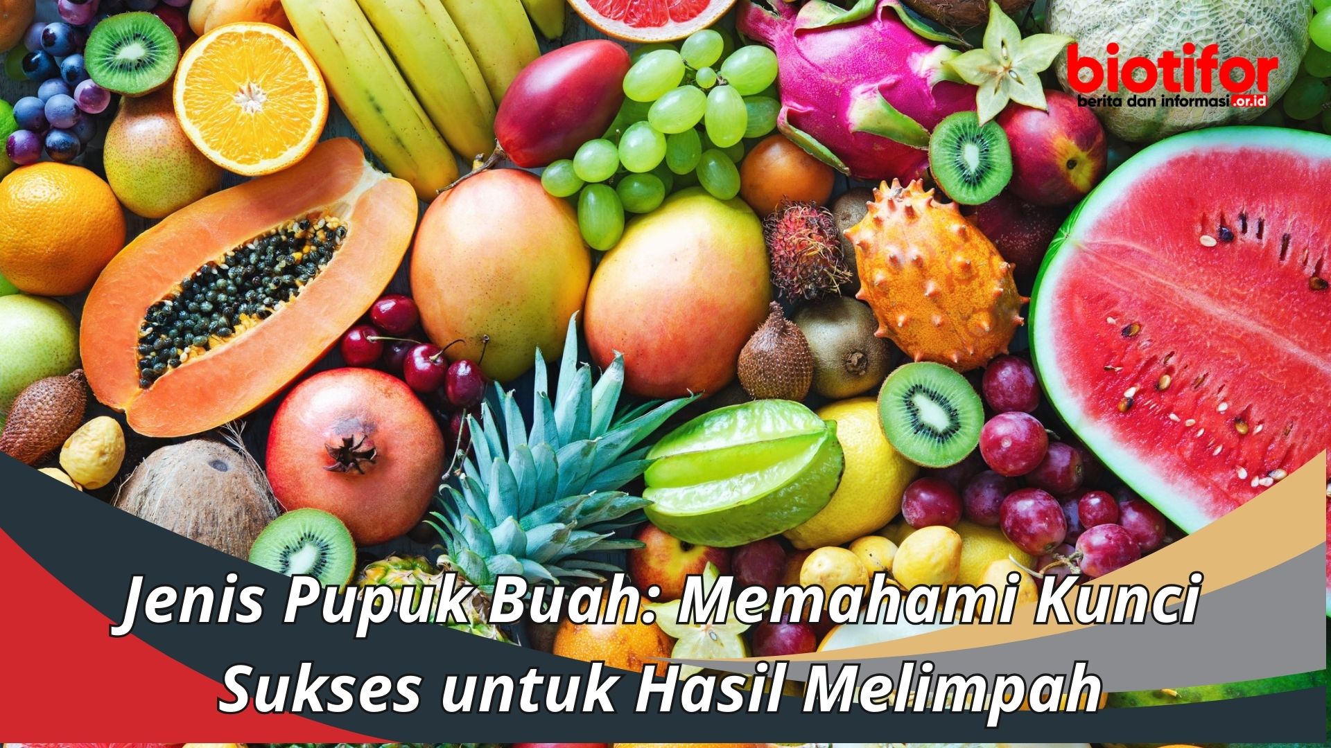 Jenis Pupuk Buah: Memahami Kunci Sukses untuk Hasil Melimpah
