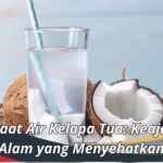 Manfaat Air Kelapa Tua: Keajaiban Alam yang Menyehatkan