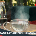 Manfaat Air Putih Hangat