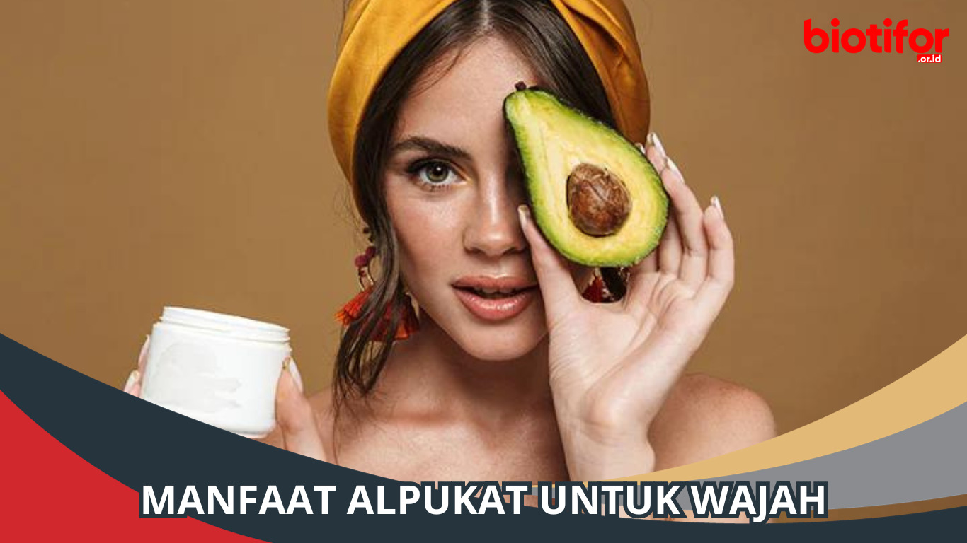 Manfaat Alpukat untuk Wajah