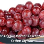 Manfaat Anggur Merah: Kesehatan dalam Setiap Gigitan