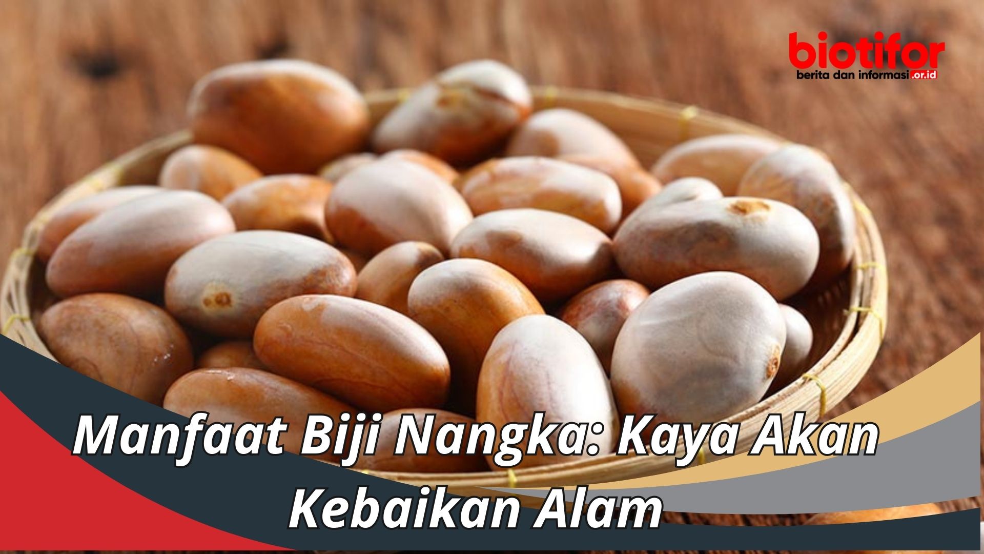 Manfaat Biji Nangka: Kaya Akan Kebaikan Alam