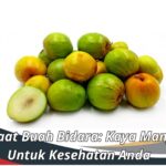 Manfaat Buah Bidara: Kaya Manfaat Untuk Kesehatan Anda