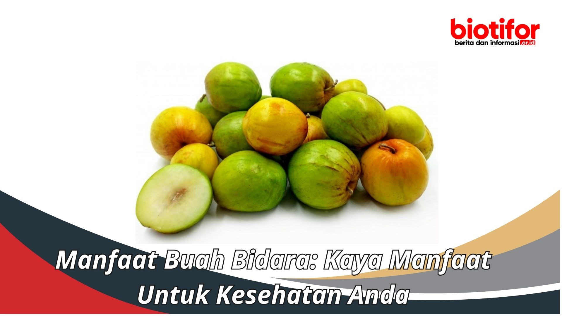 Manfaat Buah Bidara: Kaya Manfaat Untuk Kesehatan Anda