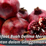 Manfaat Buah Delima Merah: Kesehatan dalam Genggaman