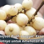 Manfaat Buah Langsat: Kenali Khasiatnya untuk Kesehatan Anda!